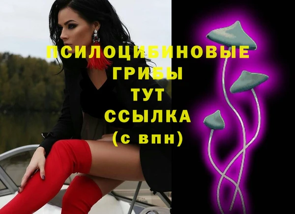 мет Арсеньев
