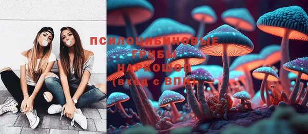 мет Арсеньев