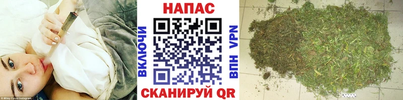 Шишки марихуана план Каргат